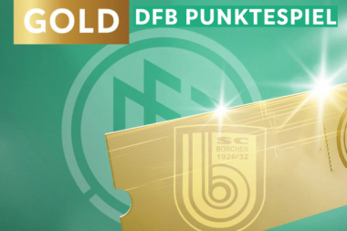 Gold-Level erreicht: SCB holt über 140 Zähler beim DFB-Punktespiel