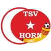 Logo Türkischer SV Horn