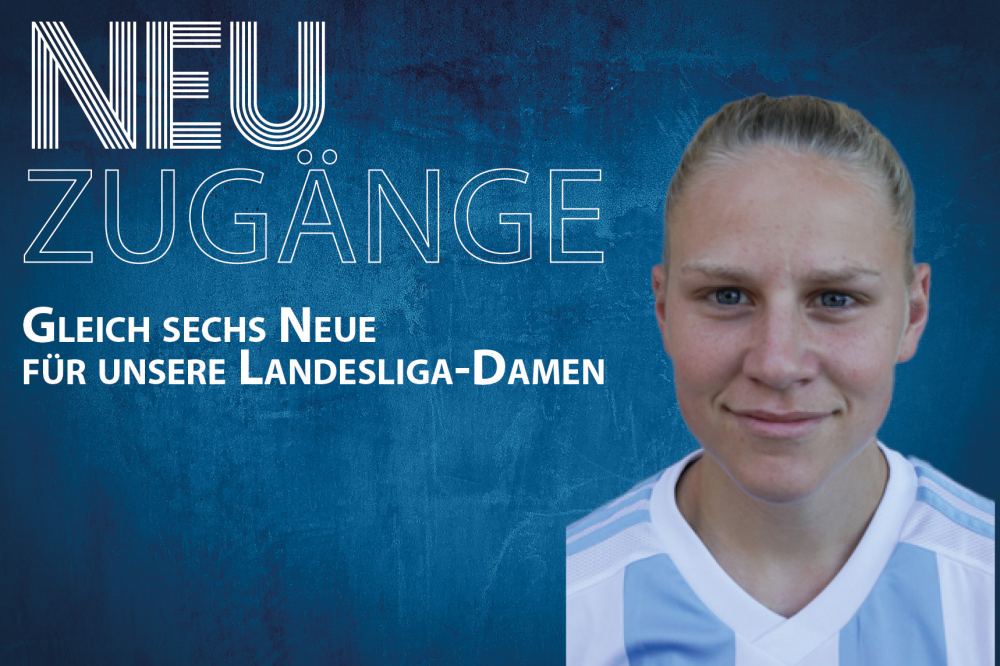 Bärenstarke Neuzugänge für unsere 1.Damen Bärenstarke Neuzugänge für unsere 1.Damen