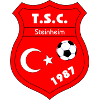 Logo TSC Steinheim