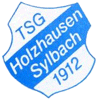 Logo TSG Holzhausen/Sylbach